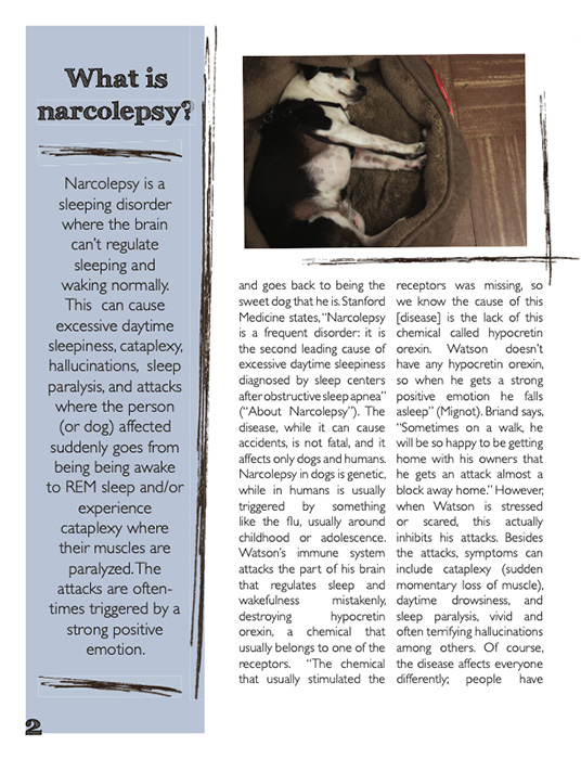 Article by Lara Darling